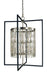 Framburg 5338 BN/MBLACK Hannah Ten Light Foyer Chandelier, Brushed Nickel/Matte Black Main Image.jpg