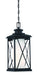 Minka-Lavery 72684-66 Lansdale One Light Chain Hung Outdoor, Coal Main Image.jpg