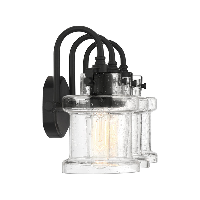 Quoizel DNY8603EK Danbury Three Light Bath Fixture, Earth Black Alternate Image 3.jpg