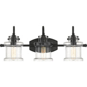 Quoizel DNY8603EK Danbury Three Light Bath Fixture, Earth Black Main Image.jpg