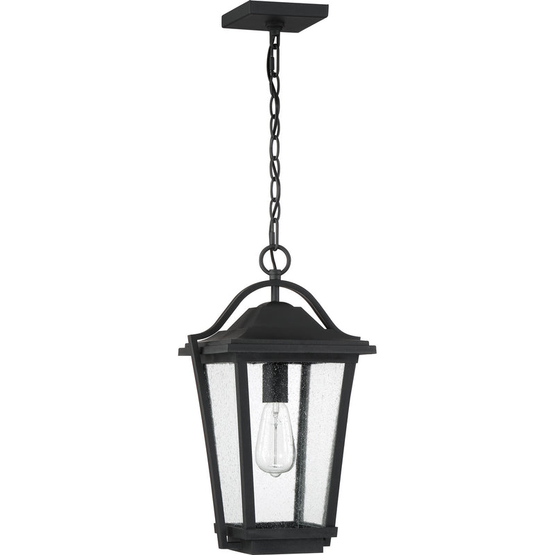 Quoizel DRS1911EK Darius One Light Outdoor Hanging Lantern, Earth Black Alternate Image.jpg