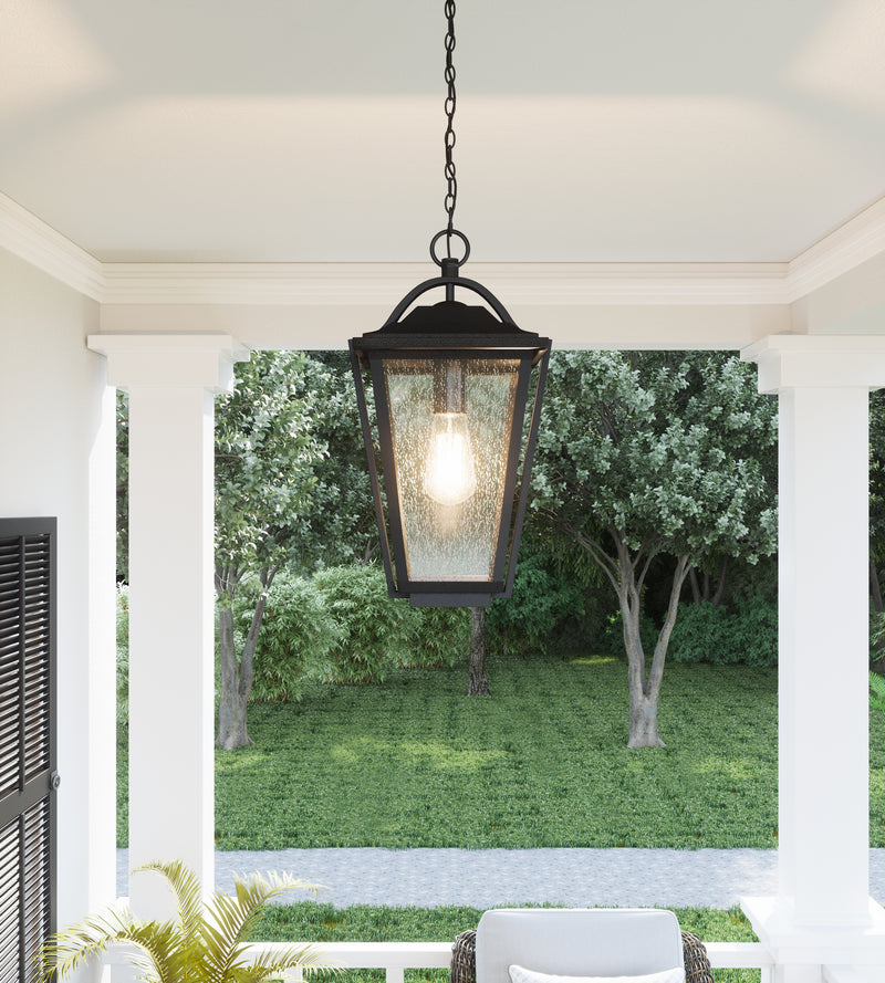 Quoizel DRS1911EK Darius One Light Outdoor Hanging Lantern, Earth Black Alternate Image 6.jpg