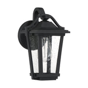 Quoizel DRS8407EK Darius One Light Outdoor Wall Lantern, Earth Black Alternate Image.jpg