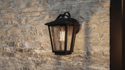 Quoizel DRS8407EK Darius One Light Outdoor Wall Lantern, Earth Black Alternate Image.jpg