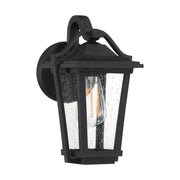 Quoizel DRS8407EK Darius One Light Outdoor Wall Lantern, Earth Black Main Image.jpg