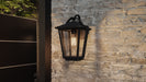 Quoizel DRS8409EK Darius One Light Outdoor Wall Lantern, Earth Black Alternate Image.jpg