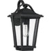 Quoizel DRS8411EK Darius One Light Outdoor Wall Lantern, Earth Black Alternate Image.jpg