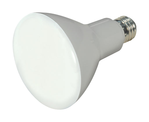 Satco S28492 Light Bulb, Frost Main Image.jpg