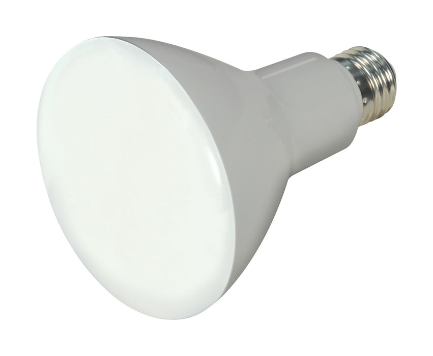 Satco S28492 Light Bulb, Frost Main Image.jpg