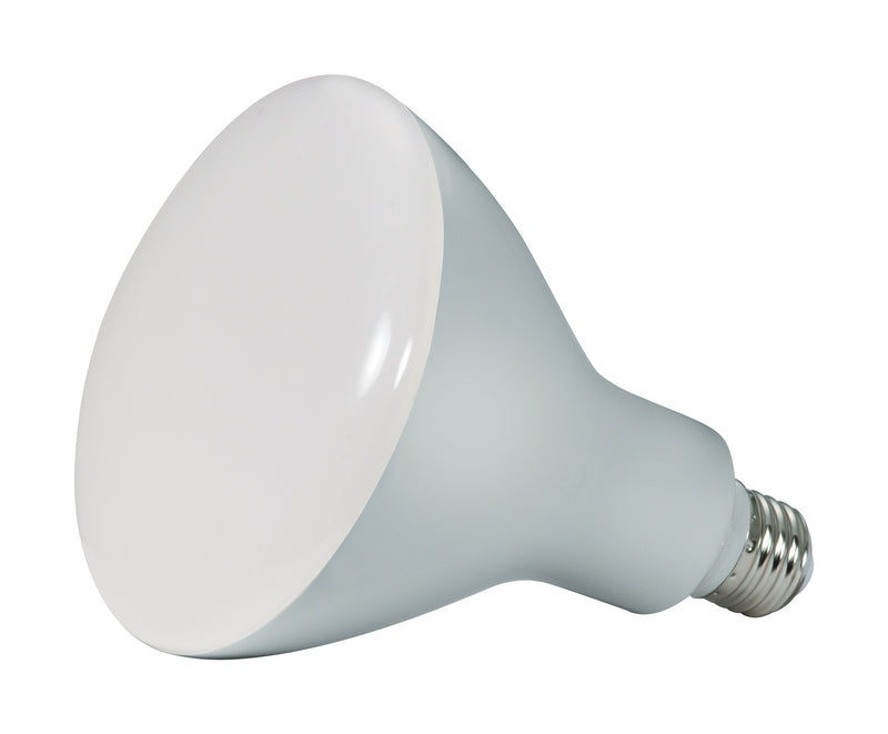 Satco S28493 Light Bulb, Frost Main Image.jpg
