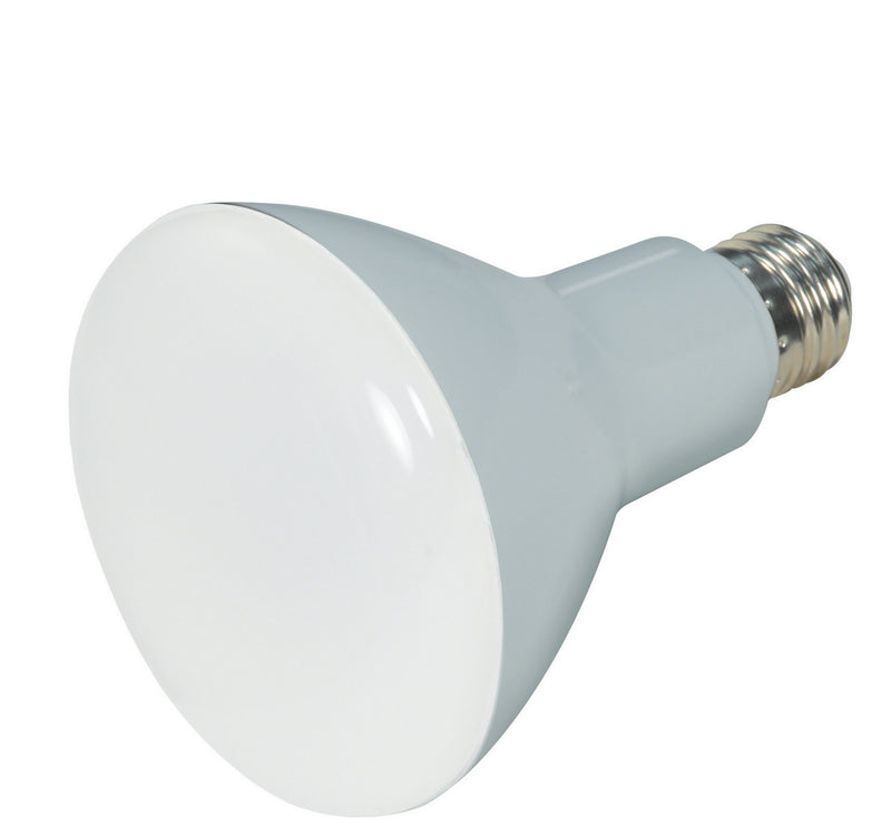 Satco S28547 Light Bulb, Frost Main Image.jpg