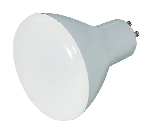 Satco S28579 Light Bulb, Frost Main Image.jpg