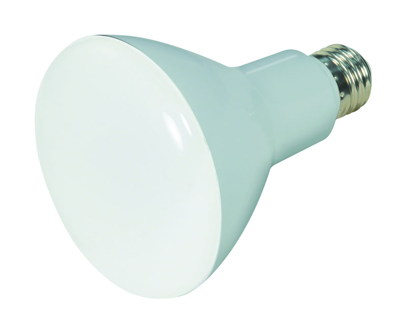 Satco S28596 Light Bulb, Frost Main Image.jpg