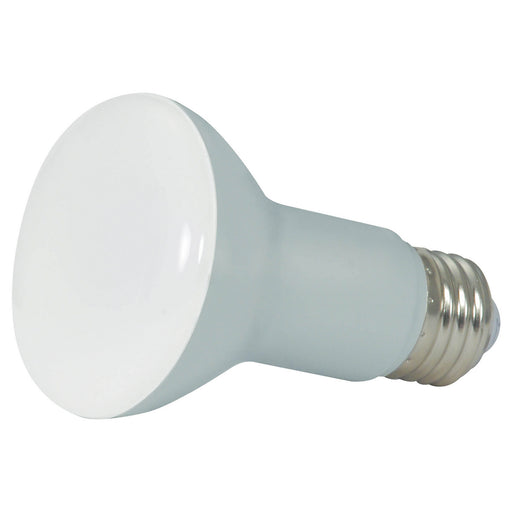 Satco S28619 Light Bulb, Frost Main Image.jpg