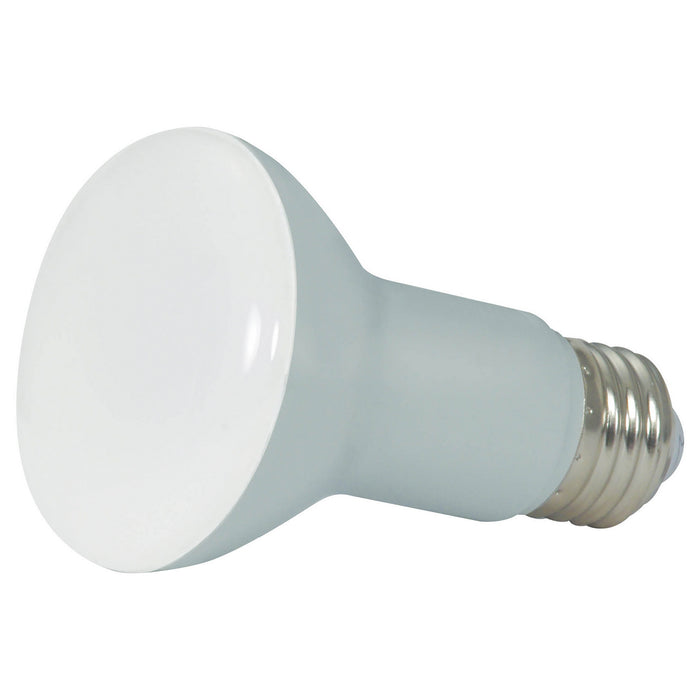 Satco S28619 Light Bulb, Frost Main Image.jpg