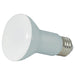 Satco S28619 Light Bulb, Frost Main Image.jpg