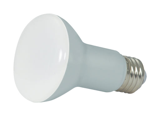 Satco S29614 Light Bulb, Frost Main Image.jpg