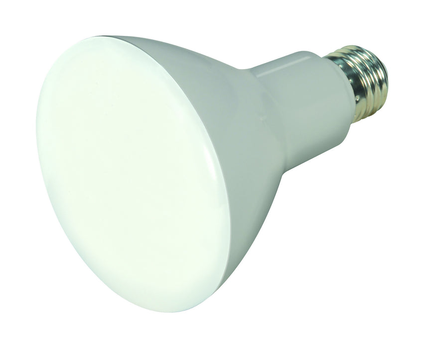 Satco S29625 Light Bulb, Frost Main Image.jpg