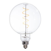 Bulbrite 776302 Filaments: Light Bulb Clear Main Image.jpg