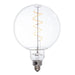 Bulbrite 776302 Filaments: Light Bulb Clear Main Image.jpg
