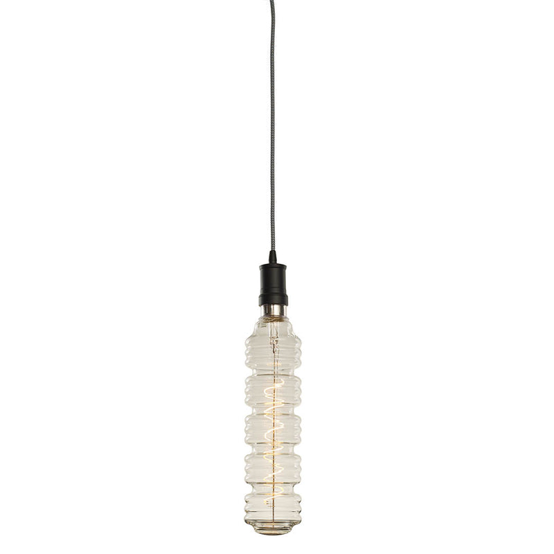 Bulbrite 776303 Filaments: Light Bulb Clear Main Image.jpg