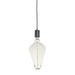 Bulbrite 776305 Filaments: Light Bulb Clear Main Image.jpg
