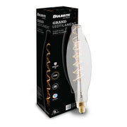 Bulbrite 776306 Filaments: Light Bulb Clear Alternate Image.jpg