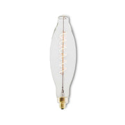 Bulbrite 776306 Filaments: Light Bulb Clear Main Image.jpg