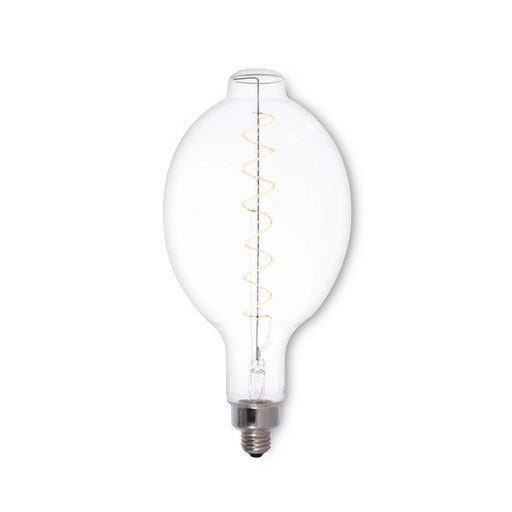 Bulbrite 776314 Filaments: Light Bulb Clear Main Image.jpg