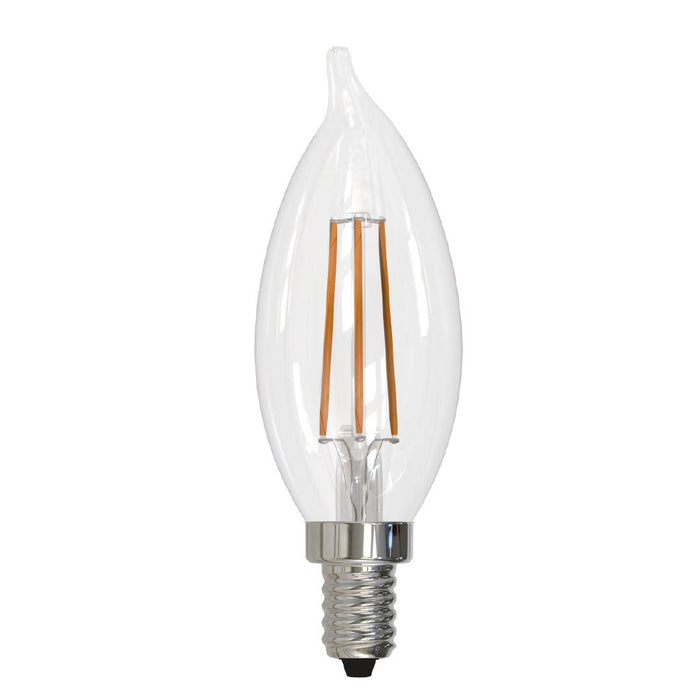 Bulbrite 776629 Filaments: Light Bulb Clear Main Image.jpg