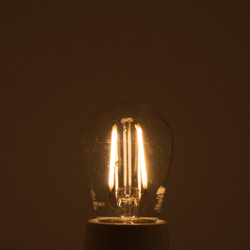Bulbrite 776684 Filaments: Light Bulb Clear Alternate Image.jpg