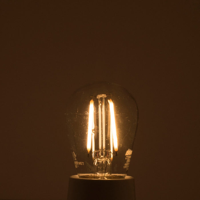 Bulbrite 776684 Filaments: Light Bulb Clear Alternate Image.jpg
