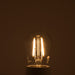 Bulbrite 776684 Filaments: Light Bulb Clear Alternate Image.jpg