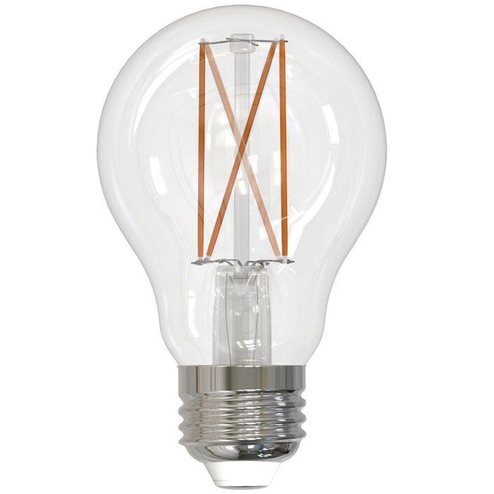 Bulbrite 776872 Filaments: Light Bulb Clear Alternate Image.jpg