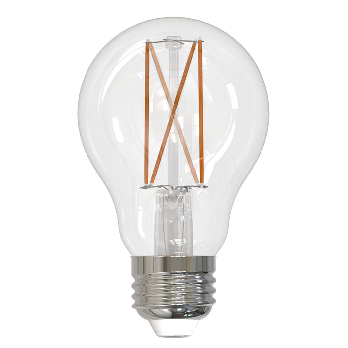 Bulbrite 776872 Filaments: Light Bulb Clear Main Image.jpg