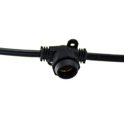 Bulbrite 810056 String String Light Black Alternate Image 2.jpg