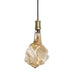 Bulbrite 810126 Pendants Pendant Antique Main Image.jpg