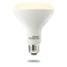 Bulbrite 196110 SMART Light Bulb Frost Main Image.jpg