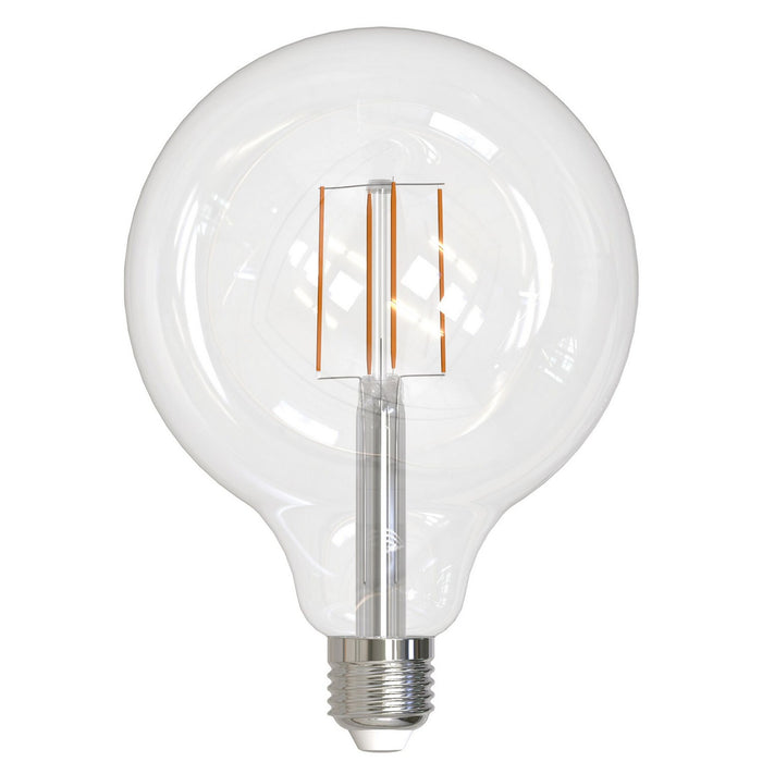 Bulbrite 776878 Filaments: Light Bulb Clear Alternate Image.jpg