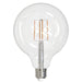 Bulbrite 776878 Filaments: Light Bulb Clear Alternate Image.jpg