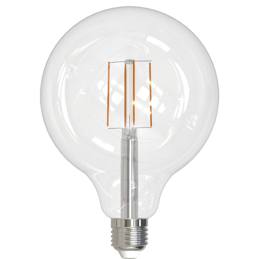 Bulbrite 776878 Filaments: Light Bulb Clear Main Image.jpg