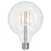 Bulbrite 776878 Filaments: Light Bulb Clear Main Image.jpg