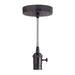 Bulbrite 810082 Pendants Pendant Gunmetal Main Image.jpg