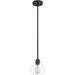 Quoizel PRUS1507MBK Pruitt One Light Mini Pendant, Matte Black Main Image.jpg