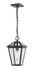 Z-Lite 579CHM-BK Talbot One Light Outdoor Chain Mount Ceiling Fixture, Black Main Image.jpg