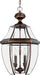 Classic Series 4 Light Outdoor Hanging Lantern Alternate Image.jpg