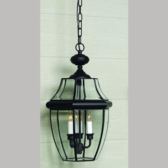 Francis Millar CL1180BK Classic Series Outdoor Hanging Lantern, Black Main Image.jpg