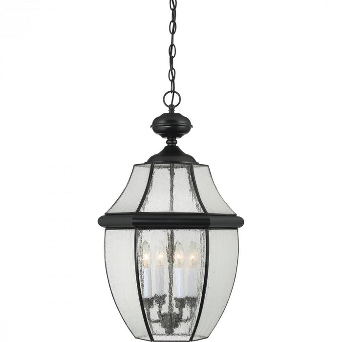 Francis Millar CL1916BK Classic Series Outdoor Hanging Lantern, Black Main Image.jpg