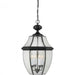 Francis Millar CL1916BK Classic Series Outdoor Hanging Lantern, Black Main Image.jpg