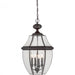 Francis Millar CL1916BZ Classic Series Outdoor Hanging Lantern, Bronze Main Image.jpg